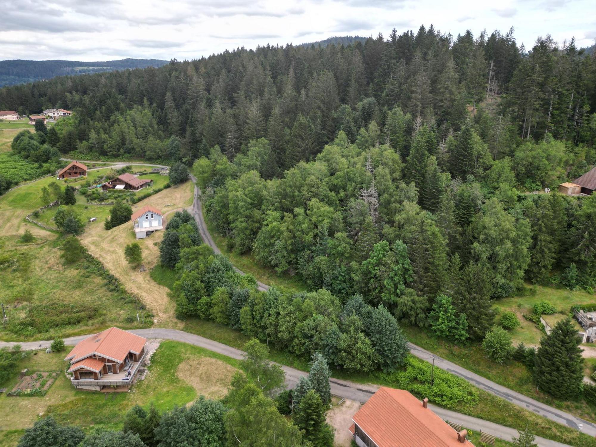 ג'רארדמר Chalet L'Appel De La Foret מראה חיצוני תמונה